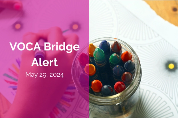 VOCA Bridge Alert