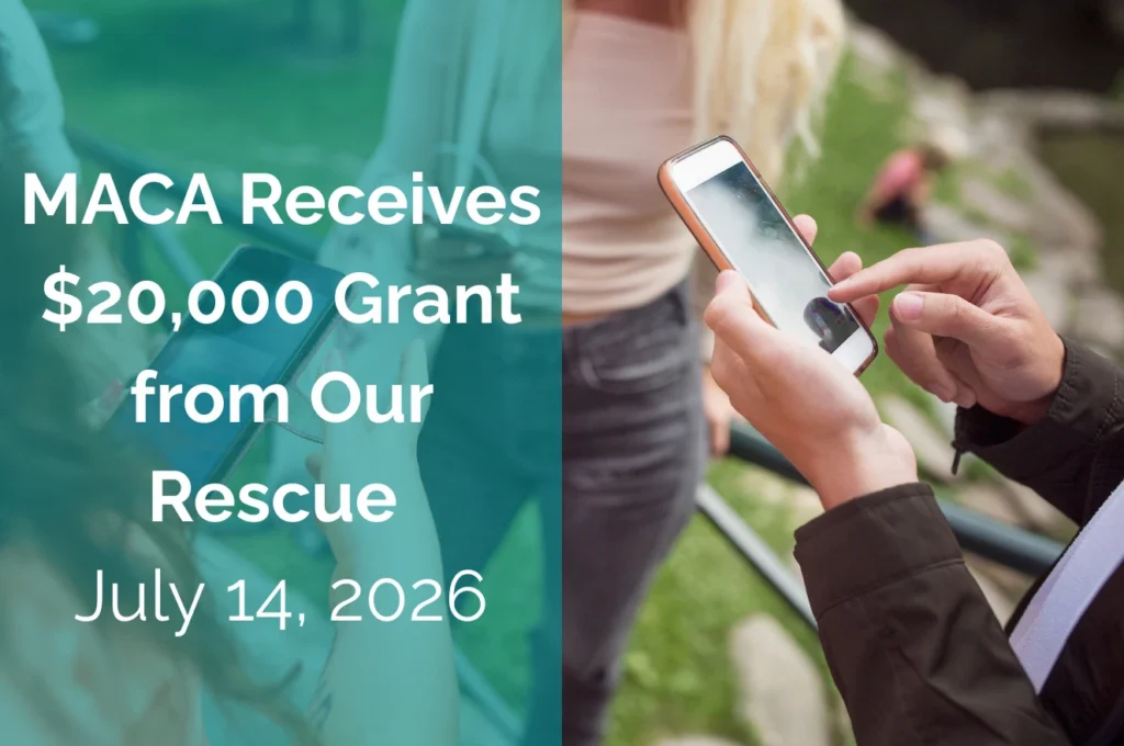 Split image: Left side has teal background with text MACA Receives $20,000 Grant from Our Rescue July 14, 2026. Right side shows hands holding a smartphone outdoors, with blurred people and grass in the background.